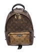 Louis Vuitton LV Monogram Palm Springs PM