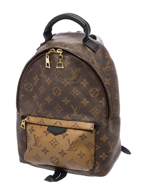 Louis Vuitton LV Monogram Palm Springs PM