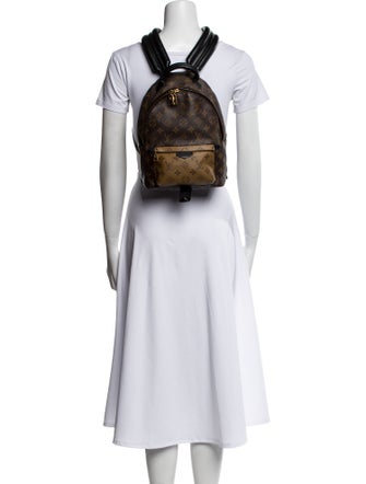 Louis Vuitton LV Monogram Palm Springs PM