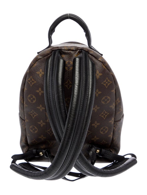 Louis Vuitton LV Monogram Palm Springs PM