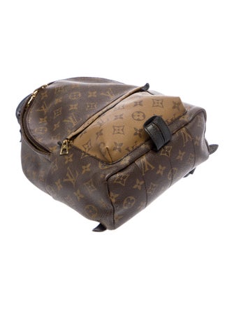 Louis Vuitton LV Monogram Palm Springs PM