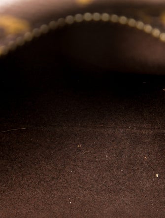 Louis Vuitton LV Monogram Side Trunk PM