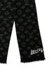 Louis Vuitton LV Monogram Shawl