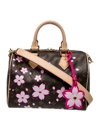 Louis Vuitton LV Monogram Speedy Bandouliere 25 2025