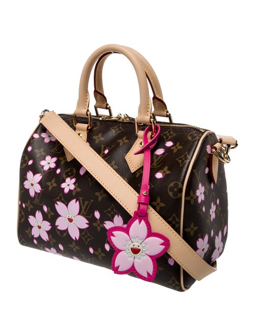 Louis Vuitton LV Monogram Speedy Bandouliere 25 2025