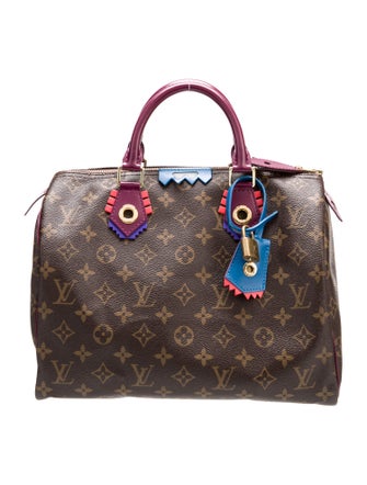 Louis Vuitton LV Monogram Totem Speedy 30