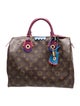 Louis Vuitton LV Monogram Totem Speedy 30