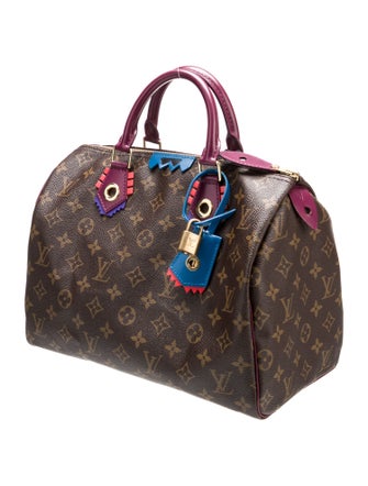 Louis Vuitton LV Monogram Totem Speedy 30