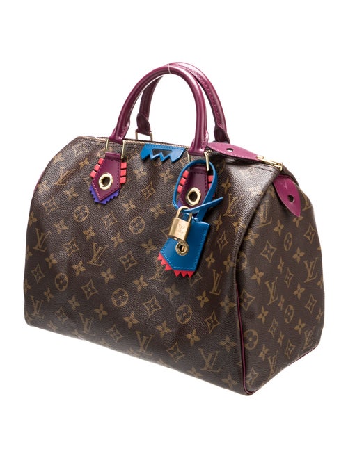 Louis Vuitton LV Monogram Totem Speedy 30
