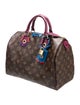 Louis Vuitton LV Monogram Totem Speedy 30