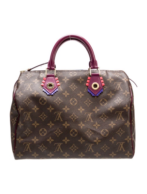 Louis Vuitton LV Monogram Totem Speedy 30