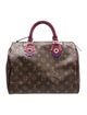 Louis Vuitton LV Monogram Totem Speedy 30
