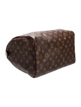Louis Vuitton LV Monogram Totem Speedy 30