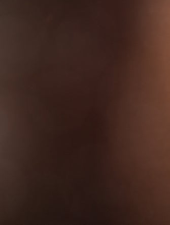 Louis Vuitton LV Monogram Speedy 25