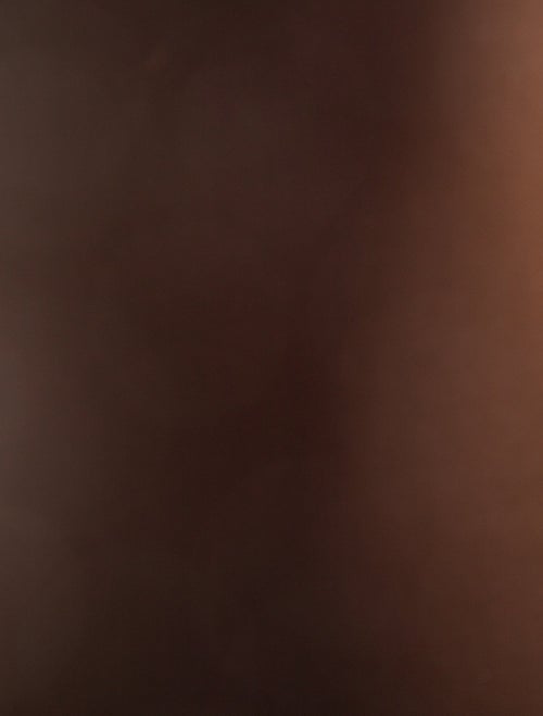 Louis Vuitton LV Monogram Speedy 25