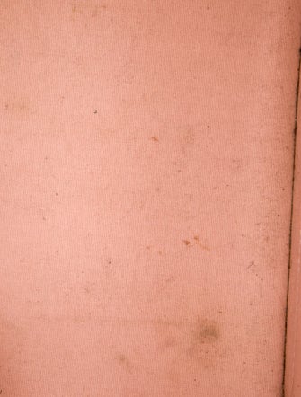 Louis Vuitton Vernis Patent Leather Alma PM