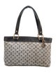 Louis Vuitton Monogram Mini Lin Sac Lucie PM