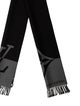 Louis Vuitton 2024 LV Monogram Scarf