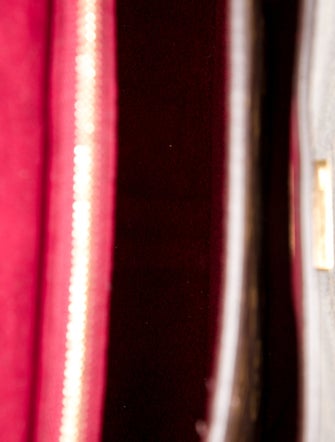 Louis Vuitton LV Monogram Passy