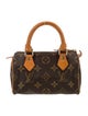 Louis Vuitton LV Monogram Speedy Nano