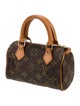 Louis Vuitton LV Monogram Speedy Nano