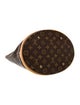 Louis Vuitton LV Monogram Bucket