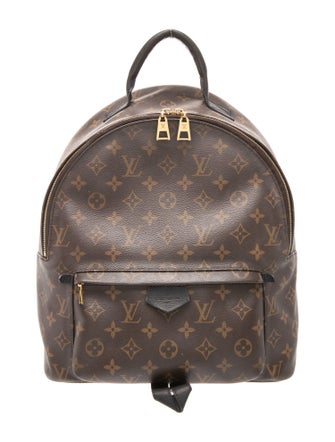 Louis Vuitton LV Monogram Palm Springs MM