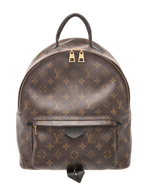 Louis Vuitton LV Monogram Palm Springs MM