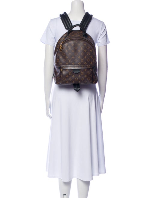 Louis Vuitton LV Monogram Palm Springs MM