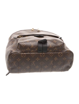Louis Vuitton LV Monogram Palm Springs MM