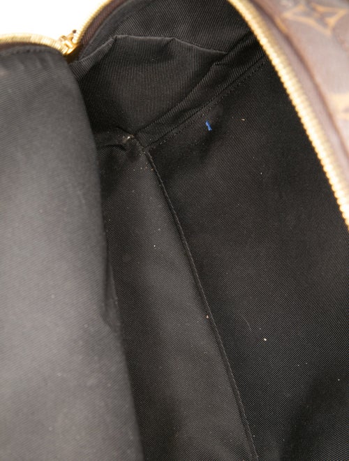 Louis Vuitton LV Monogram Palm Springs MM