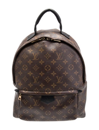 Louis Vuitton LV Monogram Palm Springs MM