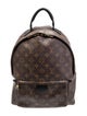 Louis Vuitton LV Monogram Palm Springs MM