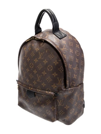 Louis Vuitton LV Monogram Palm Springs MM
