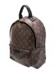 Louis Vuitton LV Monogram Palm Springs MM