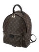 Louis Vuitton LV Monogram Palm Springs MM