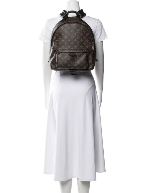 Louis Vuitton LV Monogram Palm Springs MM