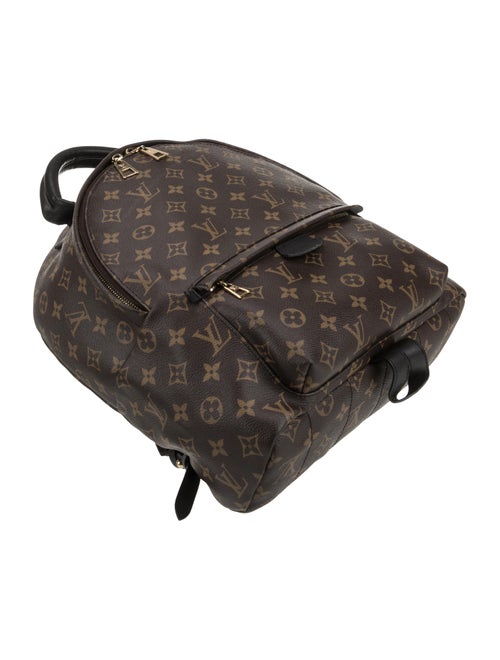 Louis Vuitton LV Monogram Palm Springs MM