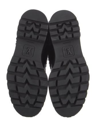 Louis Vuitton 2022 LV Monogram Combat Boots