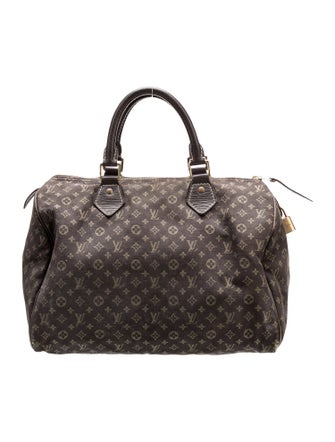 Louis Vuitton Monogram Mini Lin Speedy 30