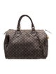 Louis Vuitton Monogram Mini Lin Speedy 30