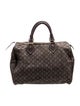 Louis Vuitton Monogram Mini Lin Speedy 30