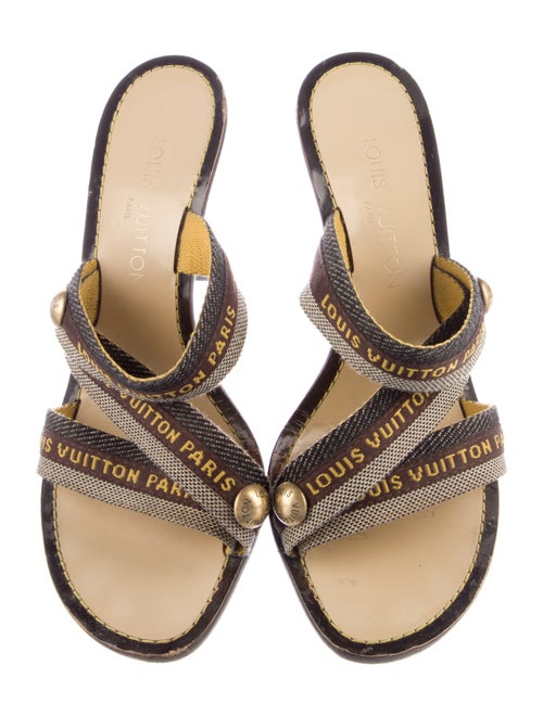 Louis Vuitton Canvas Printed Slides