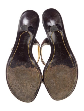 Louis Vuitton Canvas Printed Slides