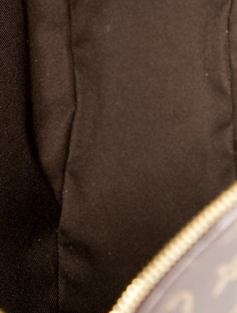 Louis Vuitton LV Monogram Loop