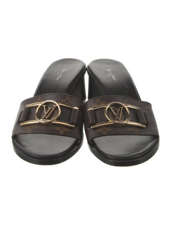 Louis Vuitton LV Monogram Slides