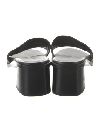 Louis Vuitton LV Monogram Slides