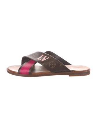 Louis Vuitton LV Monogram Slides