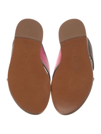 Louis Vuitton LV Monogram Slides