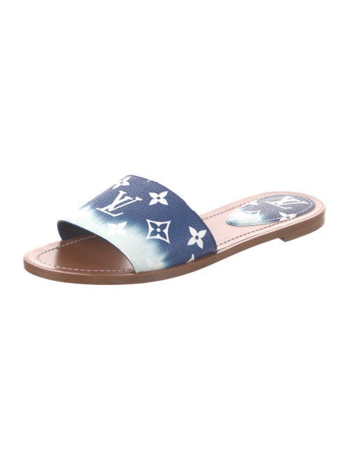 Louis Vuitton Printed Slides